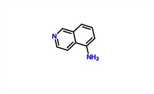 5-Aminoisoquinoline CAS 1125-60-6