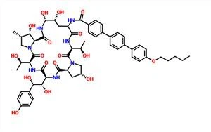 Anidulafungin CAS 166663-25-8