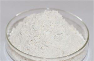 حمض ريبونوكليك (RNA) CAS 63231-63-0