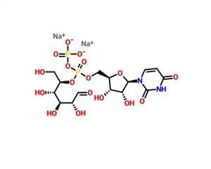 أوريدين 5'-diphosphoglucose Disodium Salt UDP-G CAS 28053-08-9